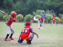 baseball national sport credit media photos dominican republic tourism board